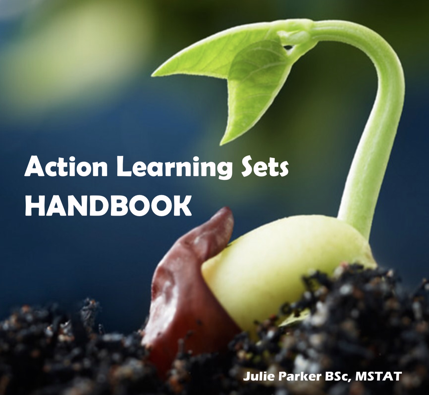 ACTION LEARNING SETS/ALS - Creative Transformation